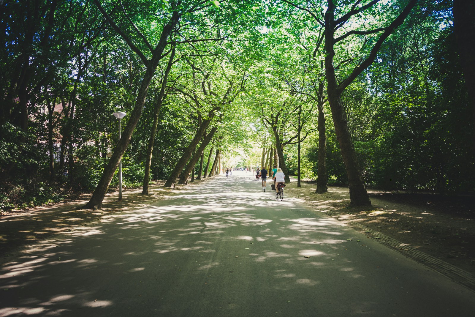 Vondelpark, Amsterdam: reference photo